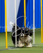 2025-June-Trial-1197