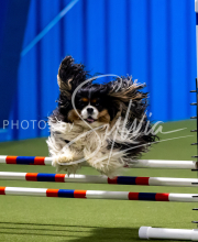 2025-June-Trial-1201