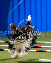 2025-June-Trial-1202