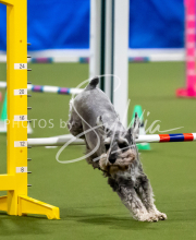 2025-June-Trial-1203