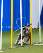 2025-June-Trial-1206