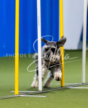 2025-June-Trial-1207