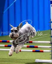 2025-June-Trial-1208