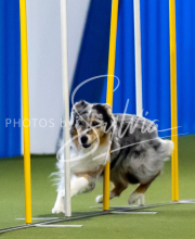 2025-June-Trial-1211