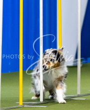 2025-June-Trial-1214