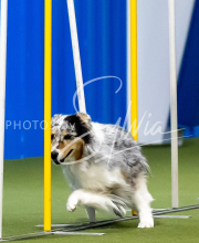 2025-June-Trial-1216