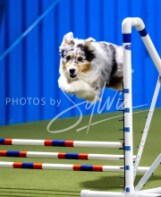 2025-June-Trial-1217