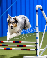 2025-June-Trial-1218