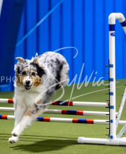 2025-June-Trial-1219