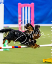 2025-June-Trial-1220