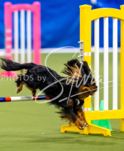 2025-June-Trial-1221