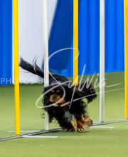 2025-June-Trial-1223