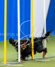 2025-June-Trial-1225