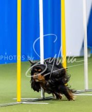 2025-June-Trial-1227