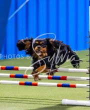 2025-June-Trial-1228