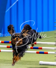 2025-June-Trial-1229