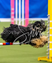 2025-June-Trial-1230