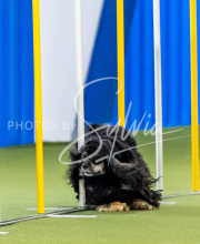 2025-June-Trial-1232