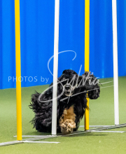 2025-June-Trial-1236