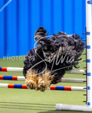 2025-June-Trial-1237