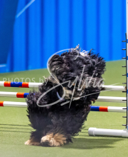 2025-June-Trial-1238