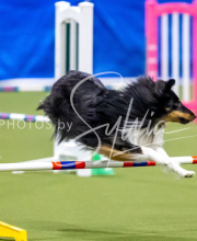 2025-June-Trial-1239