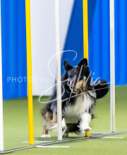 2025-June-Trial-1242