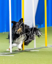 2025-June-Trial-1245