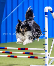 2025-June-Trial-1247