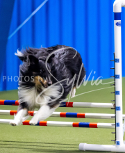 2025-June-Trial-1248