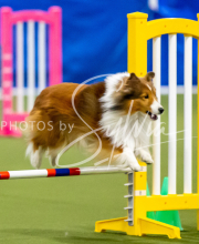 2025-June-Trial-1249