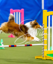 2025-June-Trial-1250