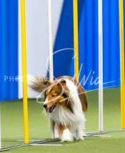 2025-June-Trial-1255