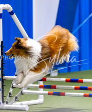 2025-June-Trial-1258