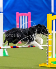 2025-June-Trial-1259