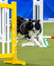 2025-June-Trial-1260