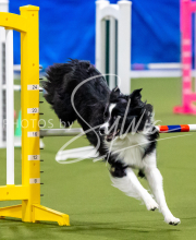 2025-June-Trial-1261