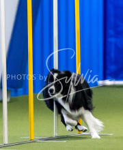 2025-June-Trial-1262