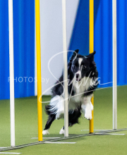 2025-June-Trial-1263