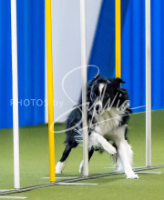 2025-June-Trial-1264