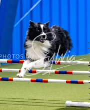 2025-June-Trial-1267