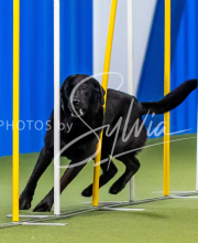 2025-June-Trial-1272