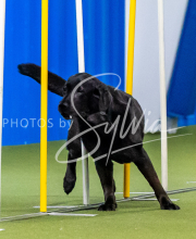 2025-June-Trial-1273