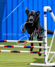 2025-June-Trial-1274