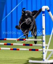 2025-June-Trial-1275