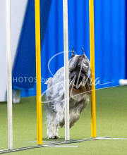 2025-June-Trial-1277