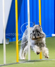 2025-June-Trial-1278