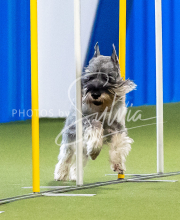 2025-June-Trial-1280