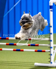 2025-June-Trial-1284