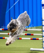 2025-June-Trial-1285